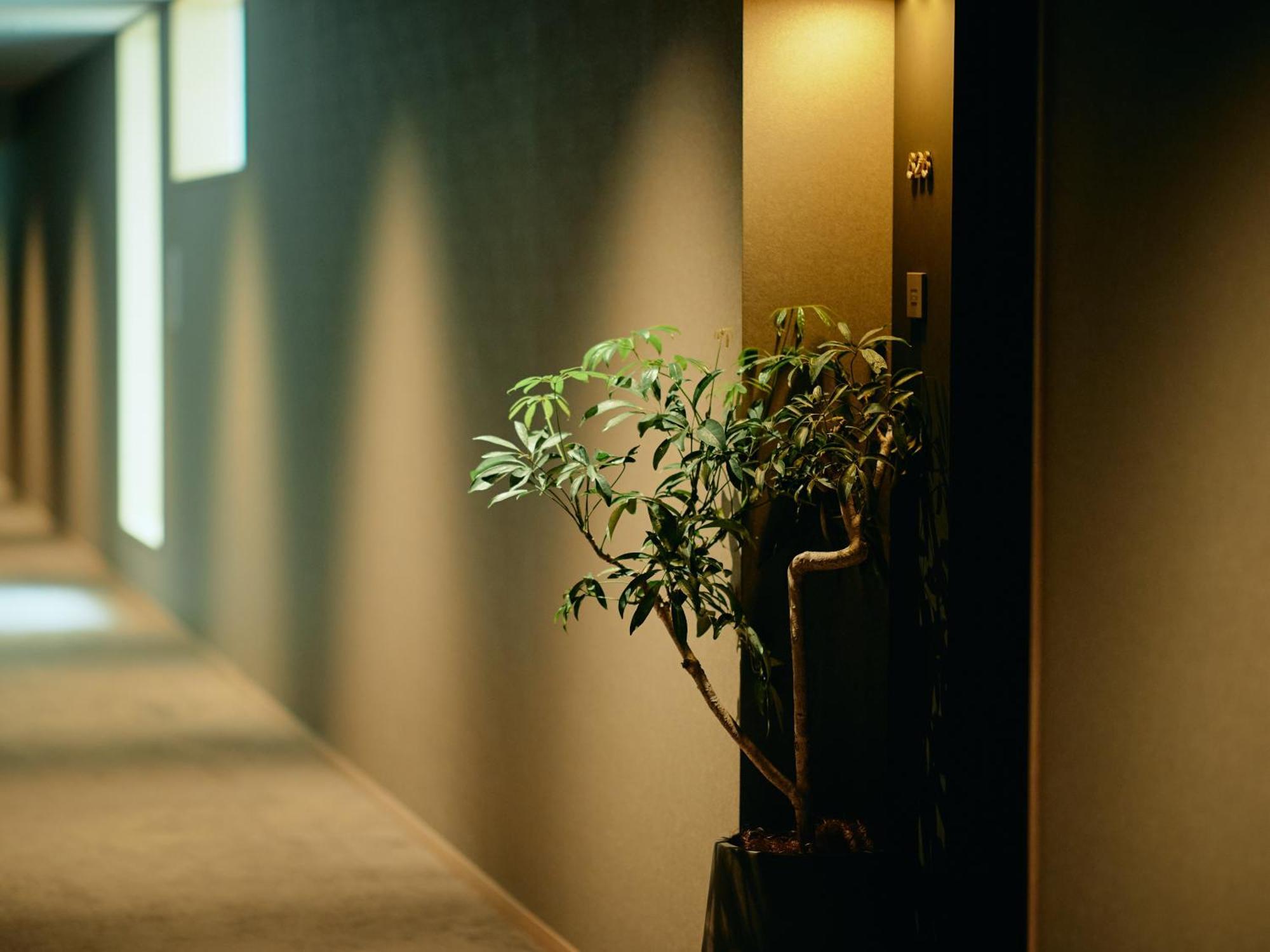 Good Nature Hotel Kyoto Rom bilde A corridor in a hotel