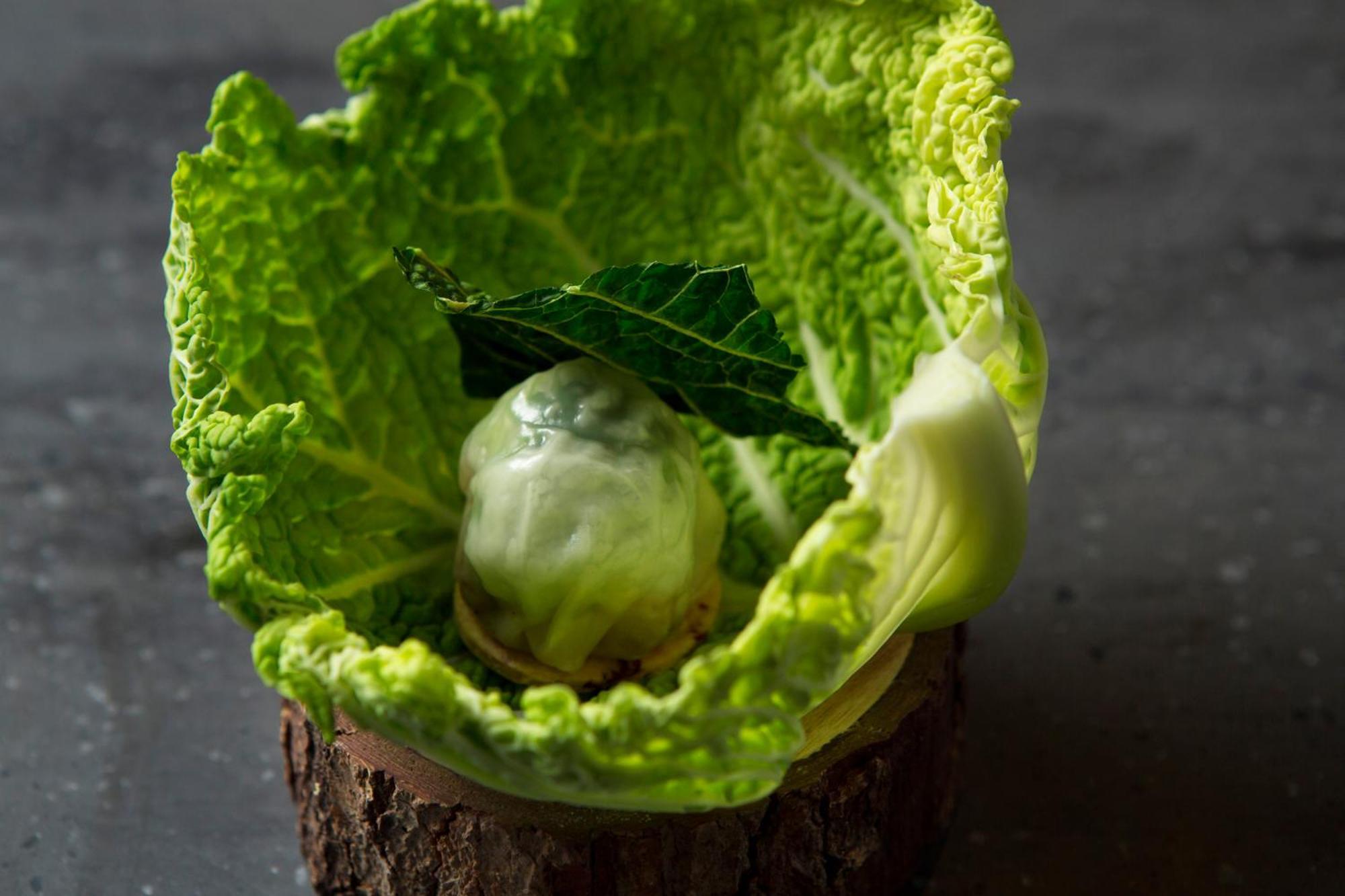 Good Nature Hotel Kyoto Eksteriør bilde A cabbage leaf with a ball of ice